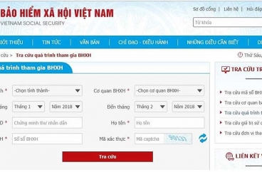 Cách tra cứu bảo hiểm xã hội qua mạng