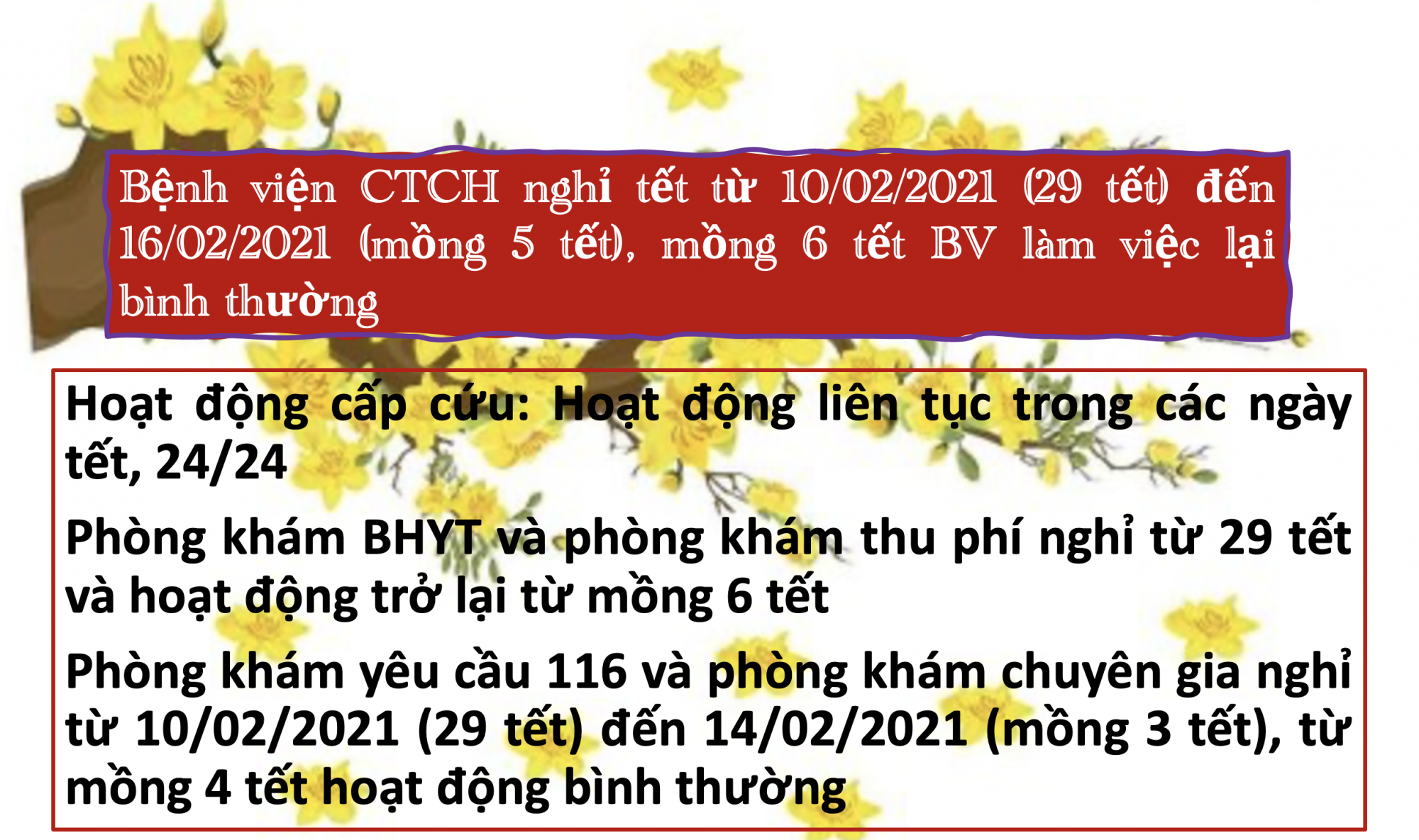 Ynh_chYp_Man_hinh_2021-02-05_luc_11.54.00