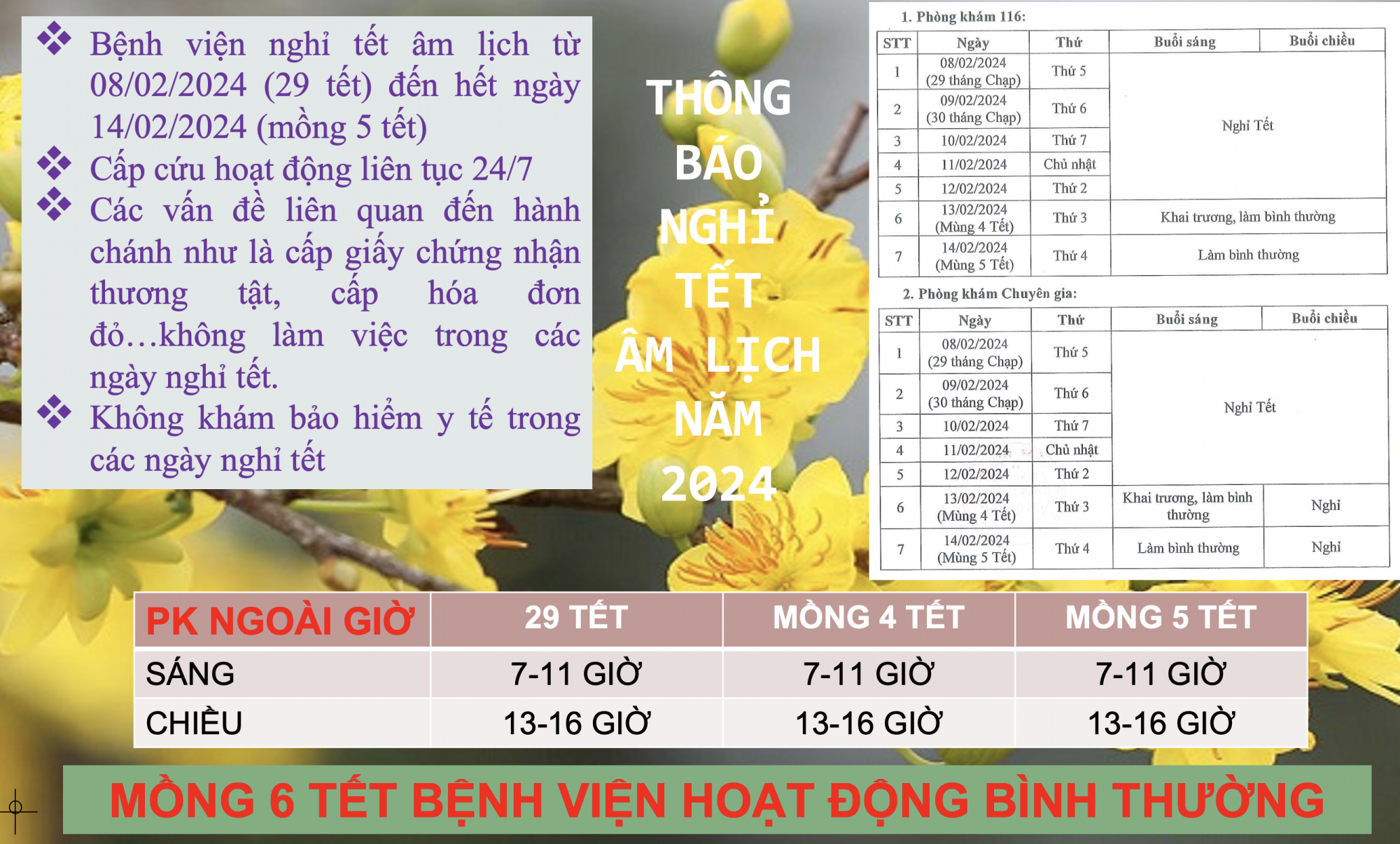AYnh_maYn_hiYnh_2024-02-06_luYc_12.52.39