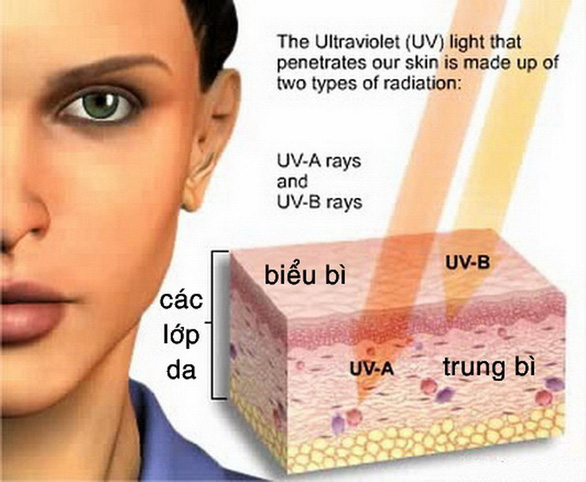 tac-dong-cua-tia-uva-va-uvb-den-lan-da-anh-usepa-155590135461570784123