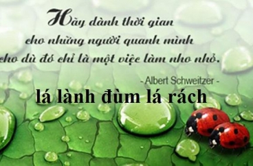 BỆNH VIỆN CHẤN THƯƠNG CHỈNH HÌNH TỔ CHỨC KHÁM BỆNH NHÂN ĐẠO TRÊN ĐỊA BÀN PHƯỜNG 14, QUẬN 11, THÀNH PHỐ HỒ CHÍ MINH