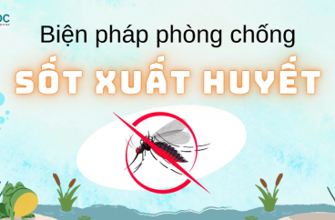 CÁC BIỆN PHÁP PHÒNG CHỐNG SỐT XUẤT HUYẾT