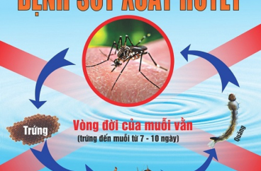 TĂNG CƯỜNG TRUYỀN THÔNG PHÒNG CHỐNG DỊCH BỆNH SỐT XUẤT HUYẾT