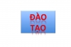TẬP HUẤN CỦA ĐOÀN ÚC VỀ CHI DƯỚI