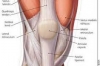 Current Treatment Strategies for Patella Fractures
