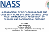 A comparision of self locking cage and cage with plate systems for three lever ACDF: minilum 2 year assessment of clinical and redialogical outcome