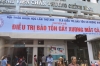 ĐIỀU TRỊ BẢO TỒN GÃY XƯƠNG MẮT