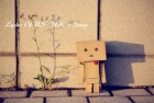 STUDY ENGLISH WITH SONGS